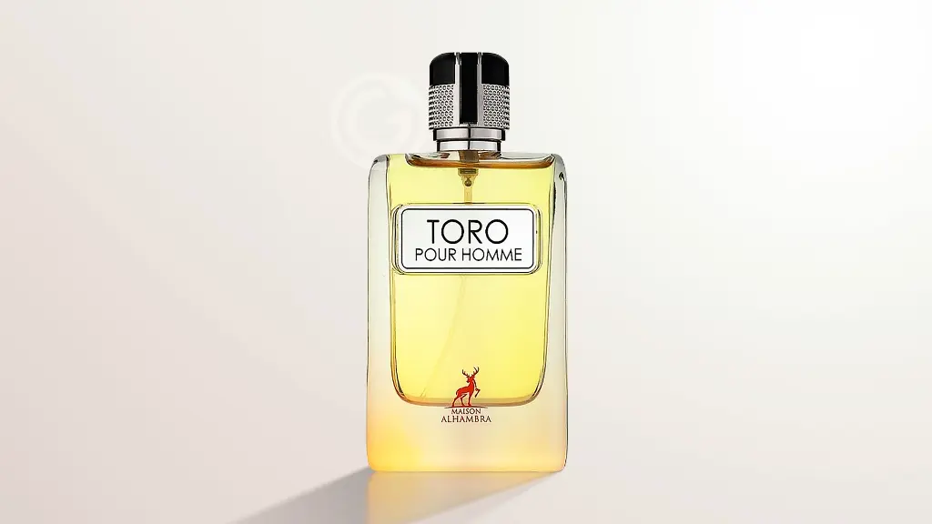 TORO MAISON.webp