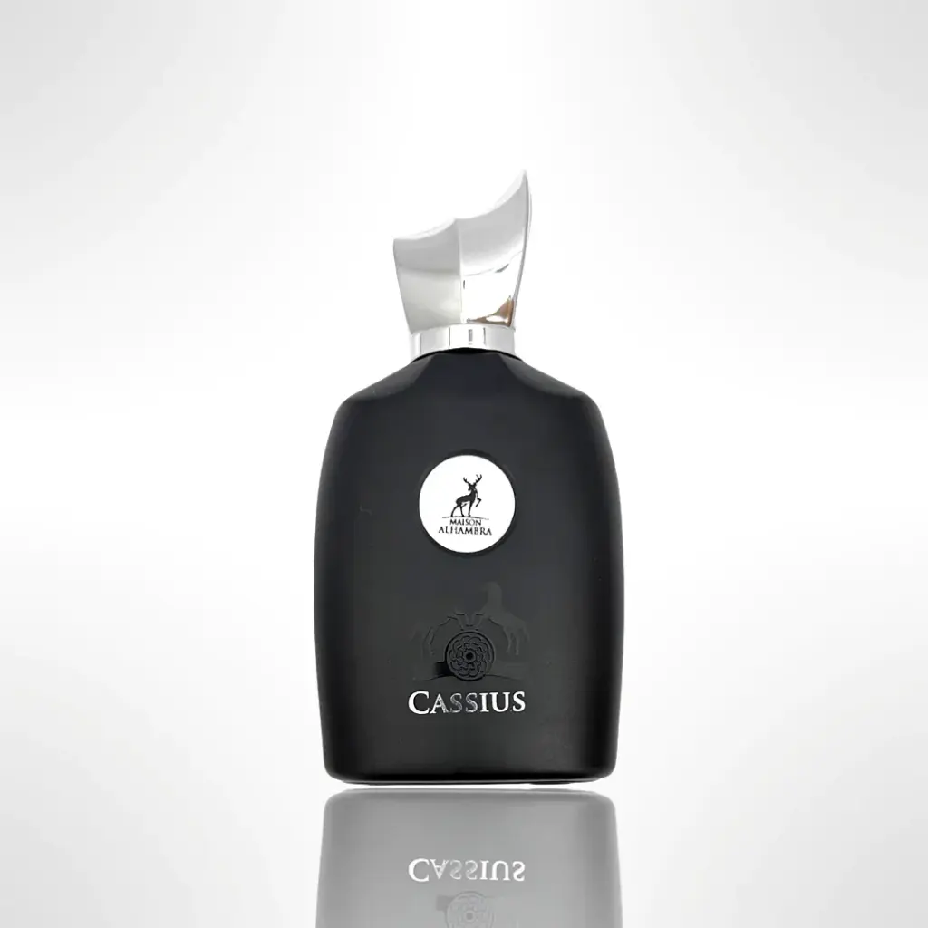 CASIU MAISION ALHAMBRA.webp